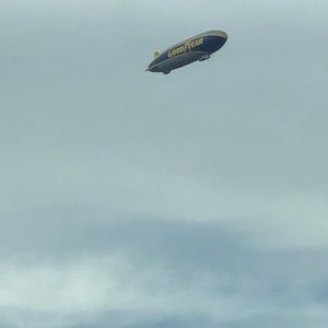 Meet your Posher, Pauline